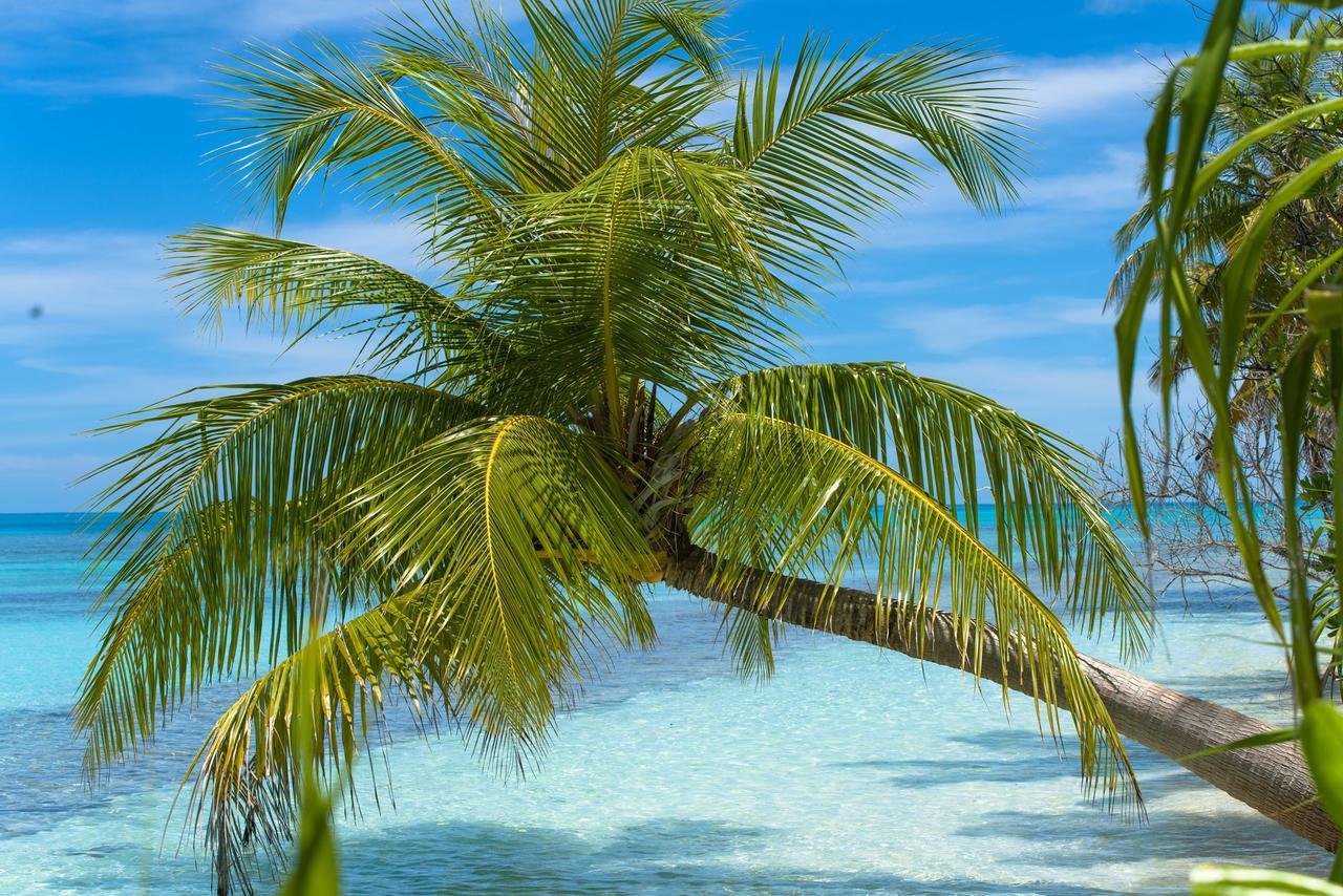 Dhiguveli Maldives Hotel Dhigurah  Exterior photo